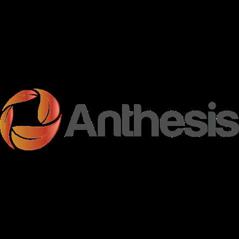 Anthesis Group photo